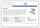 Website Design Portfolio 2